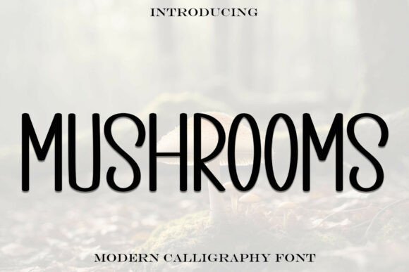 Font Choice That Matters: How Mushrooms Elevates Campaign Design