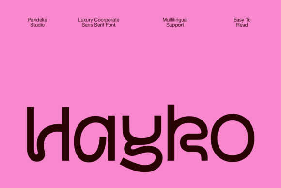 Hayko: The Font That Elevates Your Brand